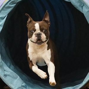 Meet your Posher, Brenda